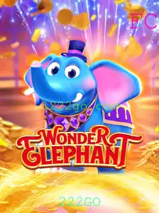 Explorando o Fascinante Mundo de WonderElephant: Tudo Que Você Precisa Saber Sobre Este Jogo de Tabuleiro Inovador
